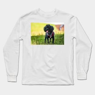 Suburban Princess Long Sleeve T-Shirt